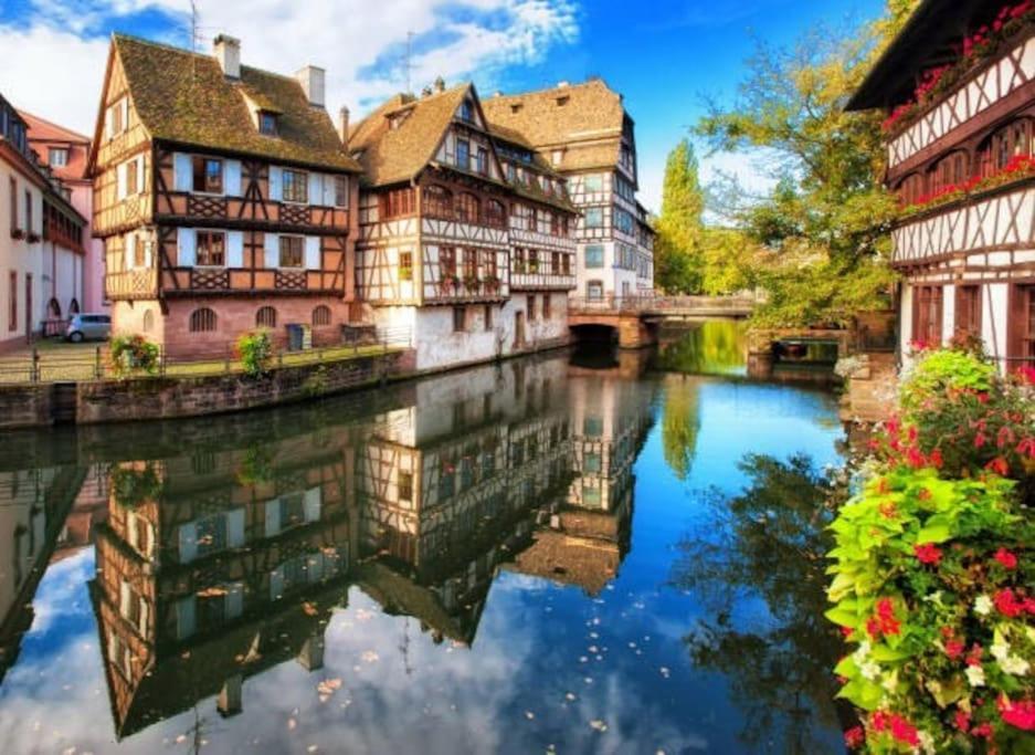 Apartment Atypique En Plein Centre Obernai
