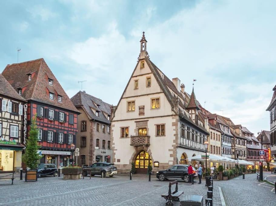 Apartment Atypique En Plein Centre Obernai