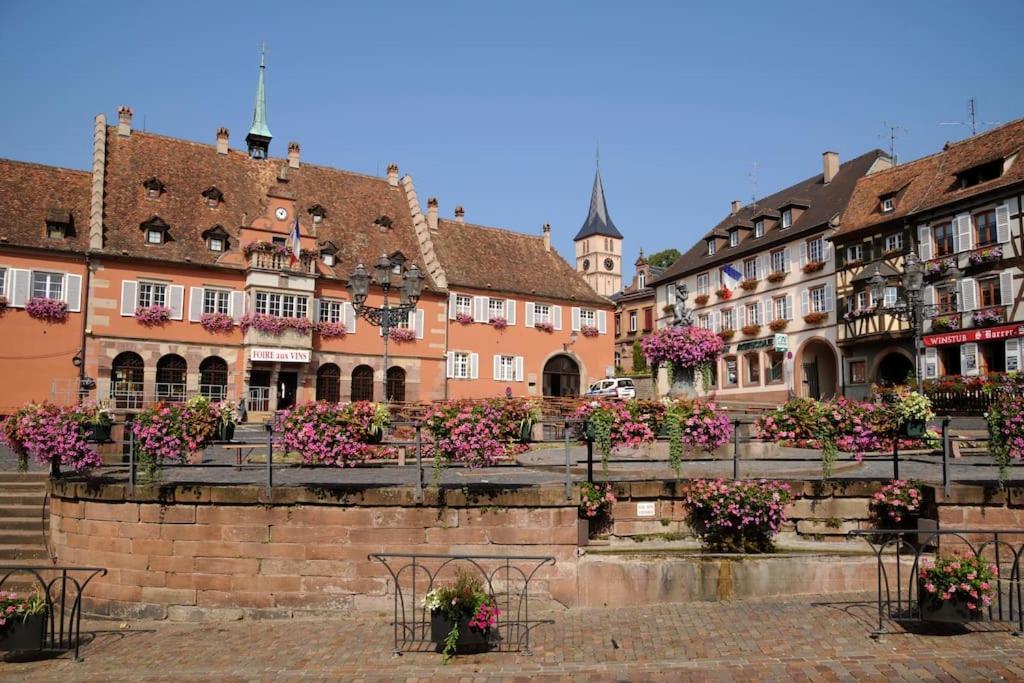 Atypique En Plein Centre * Obernai