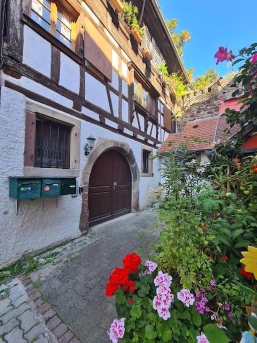Atypique En Plein Centre Appartement *