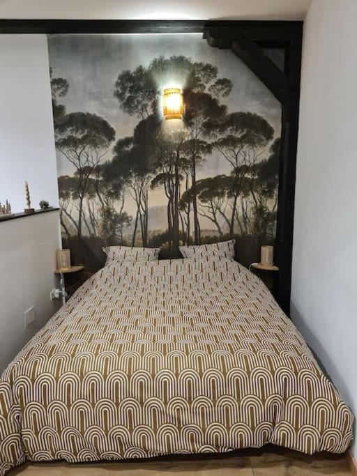 Appartement Atypique En Plein Centre *