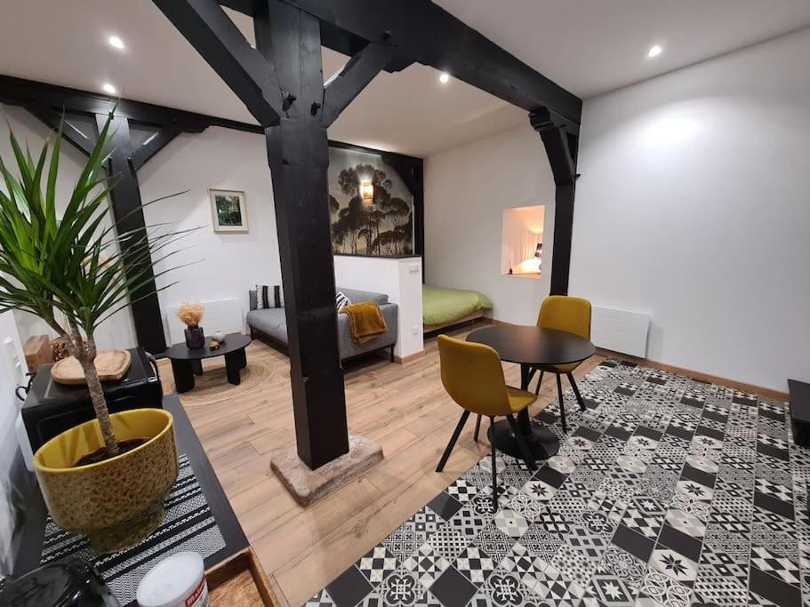 Appartement Atypique En Plein Centre
